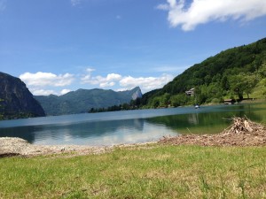 IMG_0333
