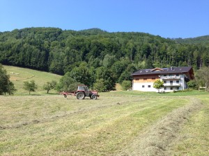 IMG_0414