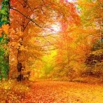 Herbst