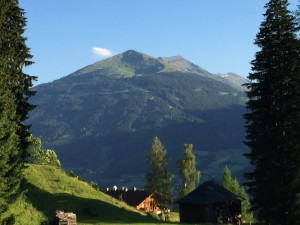 IMG_0123